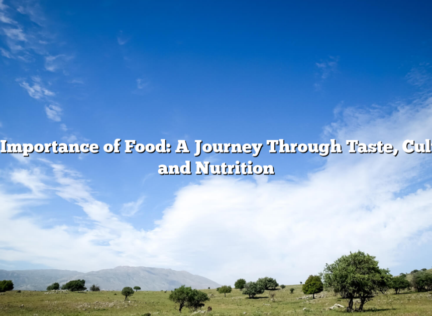 The Importance of Food: A Journey Through Taste, Culture, and Nutrition