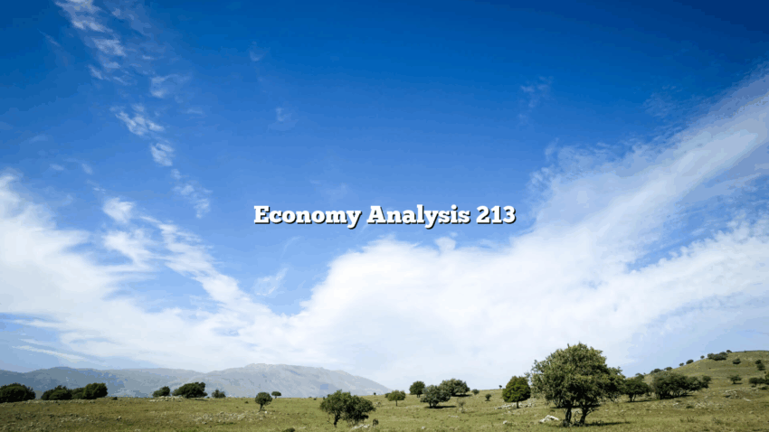 Economy Analysis 213